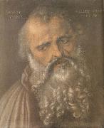 Albrecht Durer Head of the Apostle Philip china oil painting artist